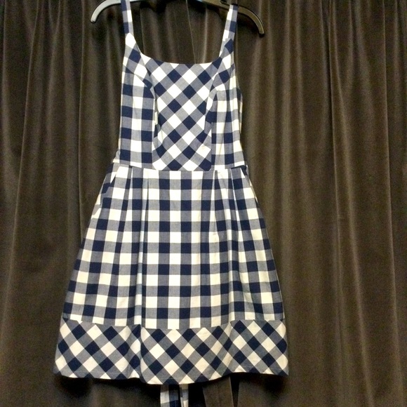 Birds of North America Dresses & Skirts - Birds of North America lined cotton ginham sundress